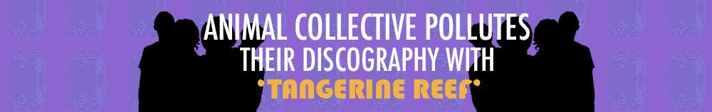 1535406757-74ae58fe7349c54