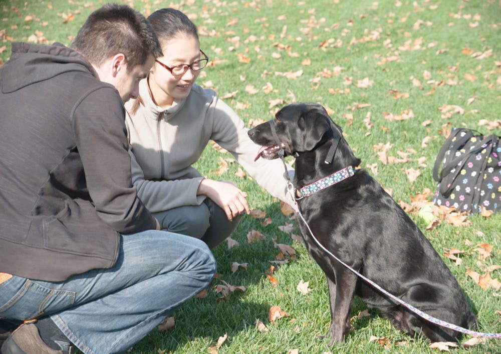 1447212132-85ae91f513a8dd3