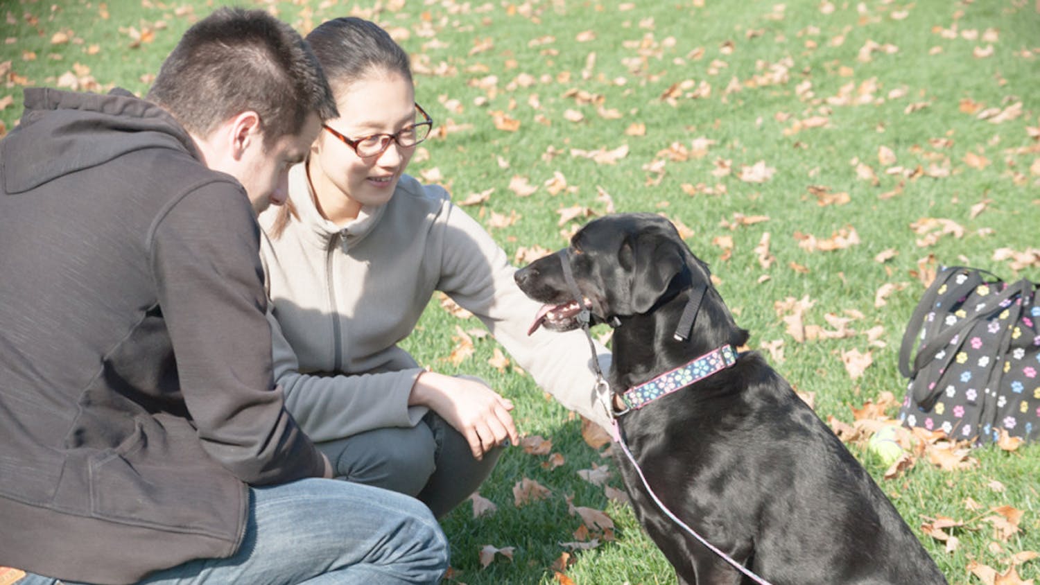 1447212132-85ae91f513a8dd3