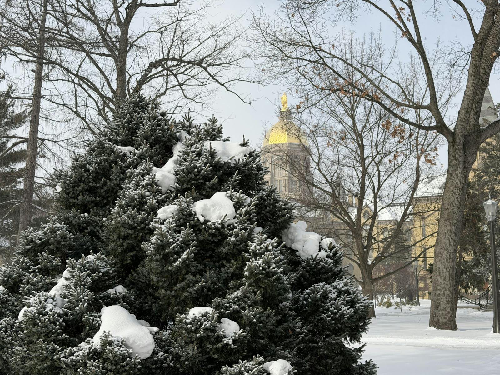 Dome in Snow.png