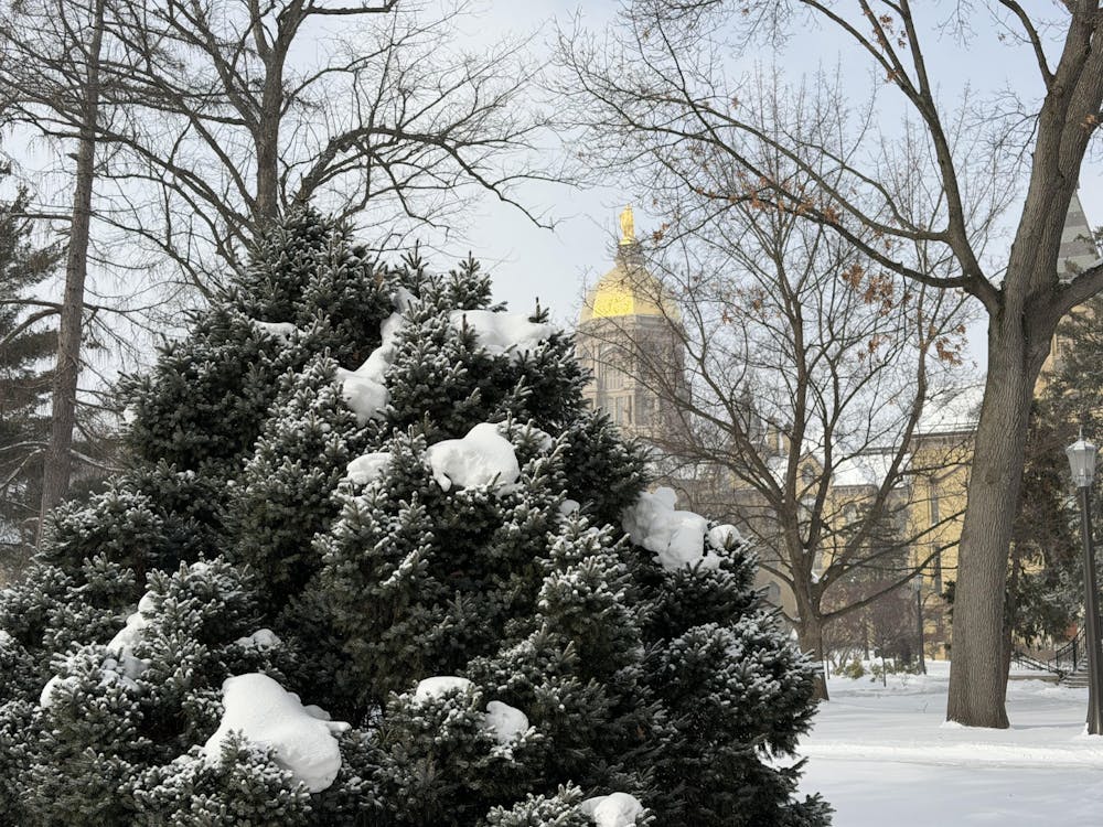 Dome in Snow.png