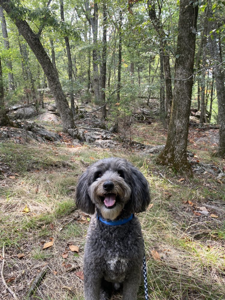 1637535719-205dc545e21bb07