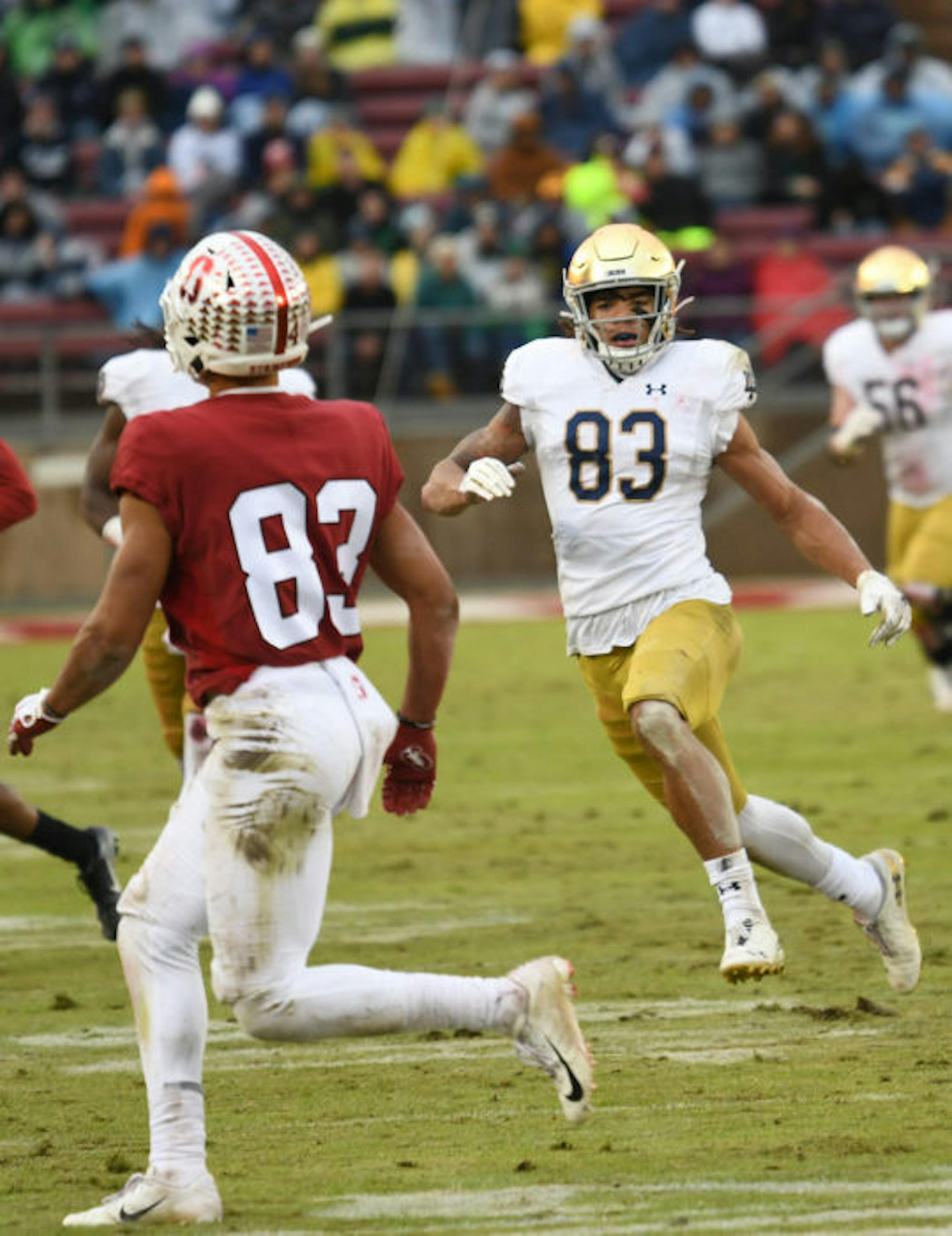 1575928224-e281a8e7c3aa68e-539x700