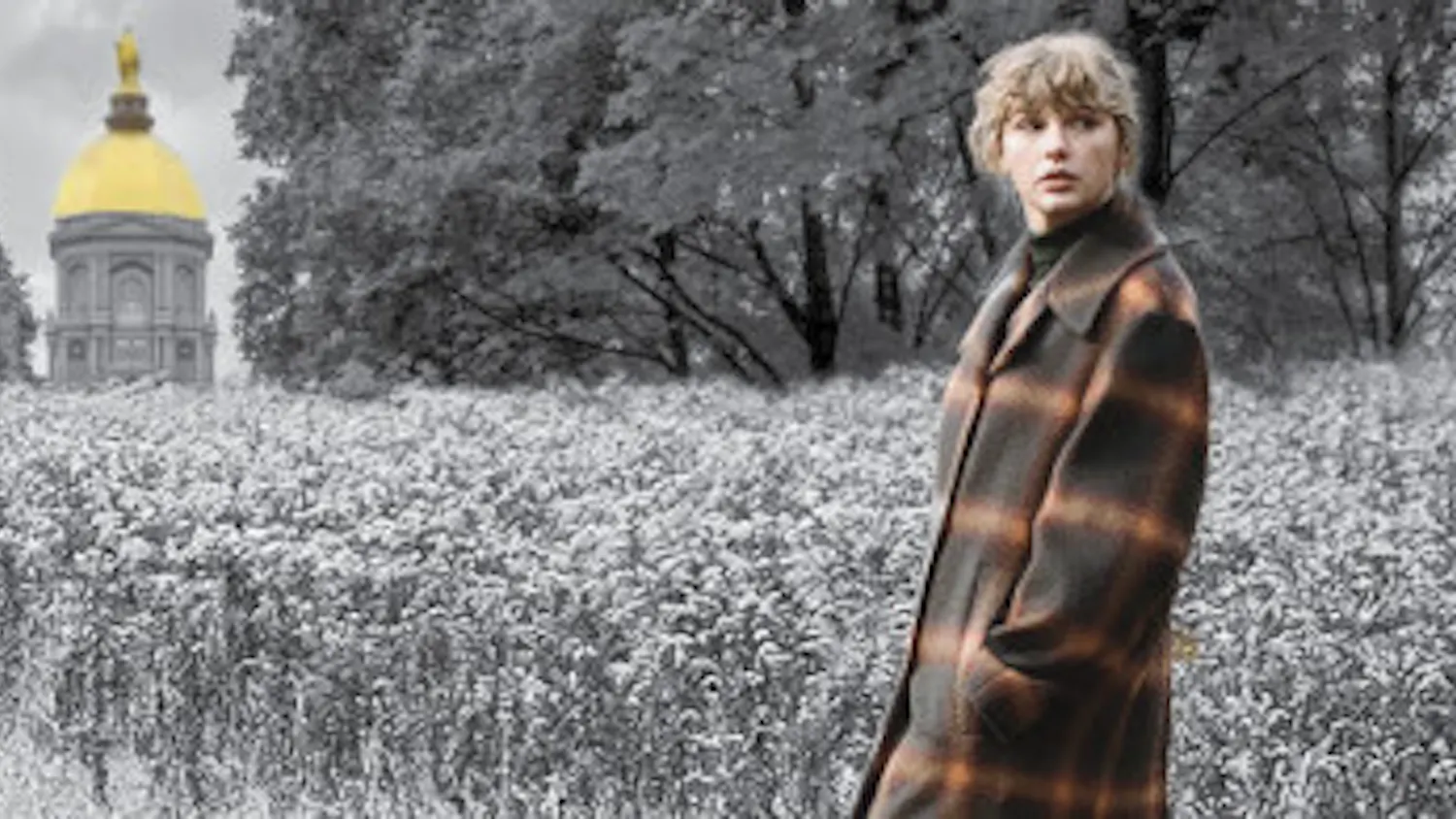 1608244321-7d8bc5f1a8d3787