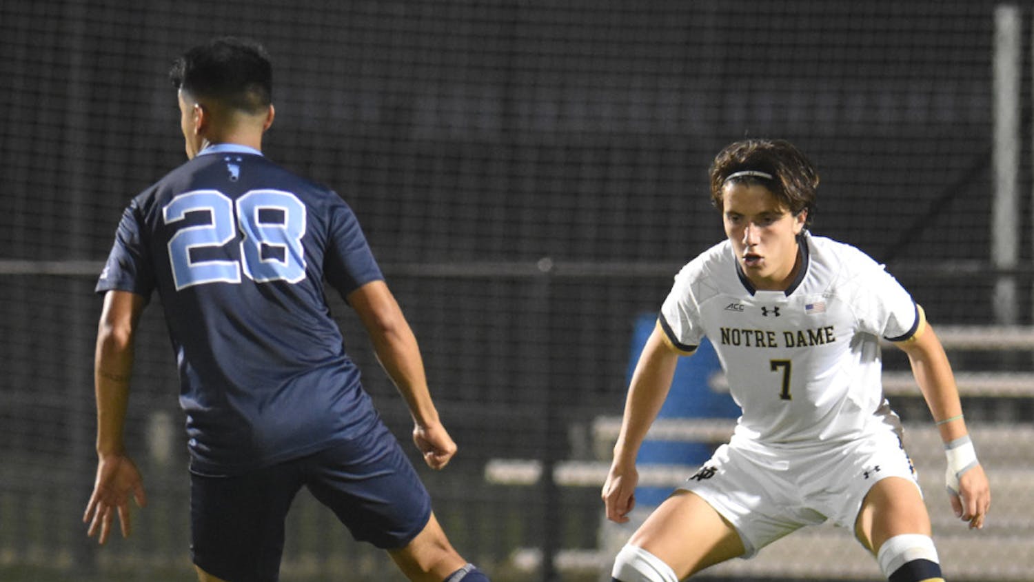 1543544592-3e2499918150df7