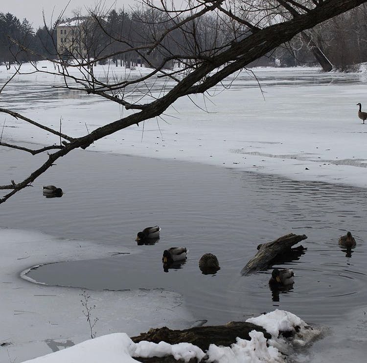 1579870476-09f0672c26c6dd1