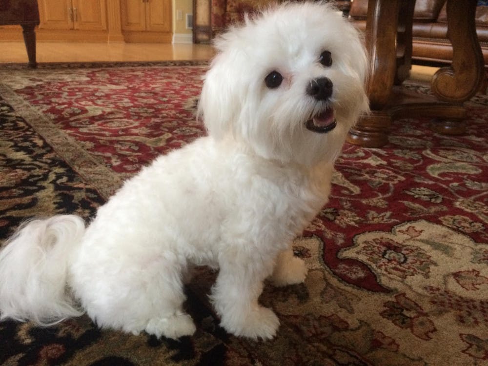 1585161014-c4ca4238a0b9238