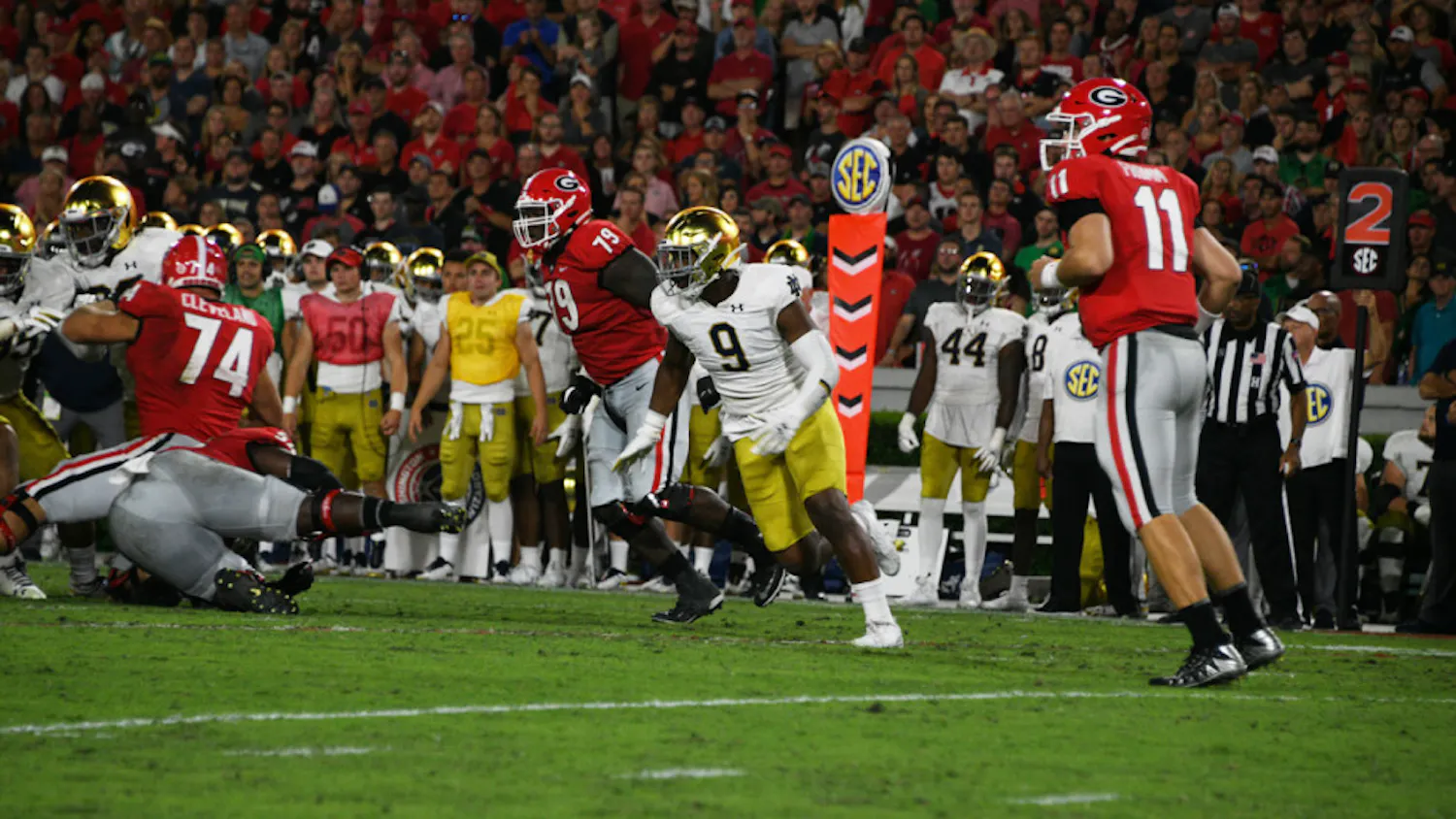 1599784477-7cedc0a50baf4d7