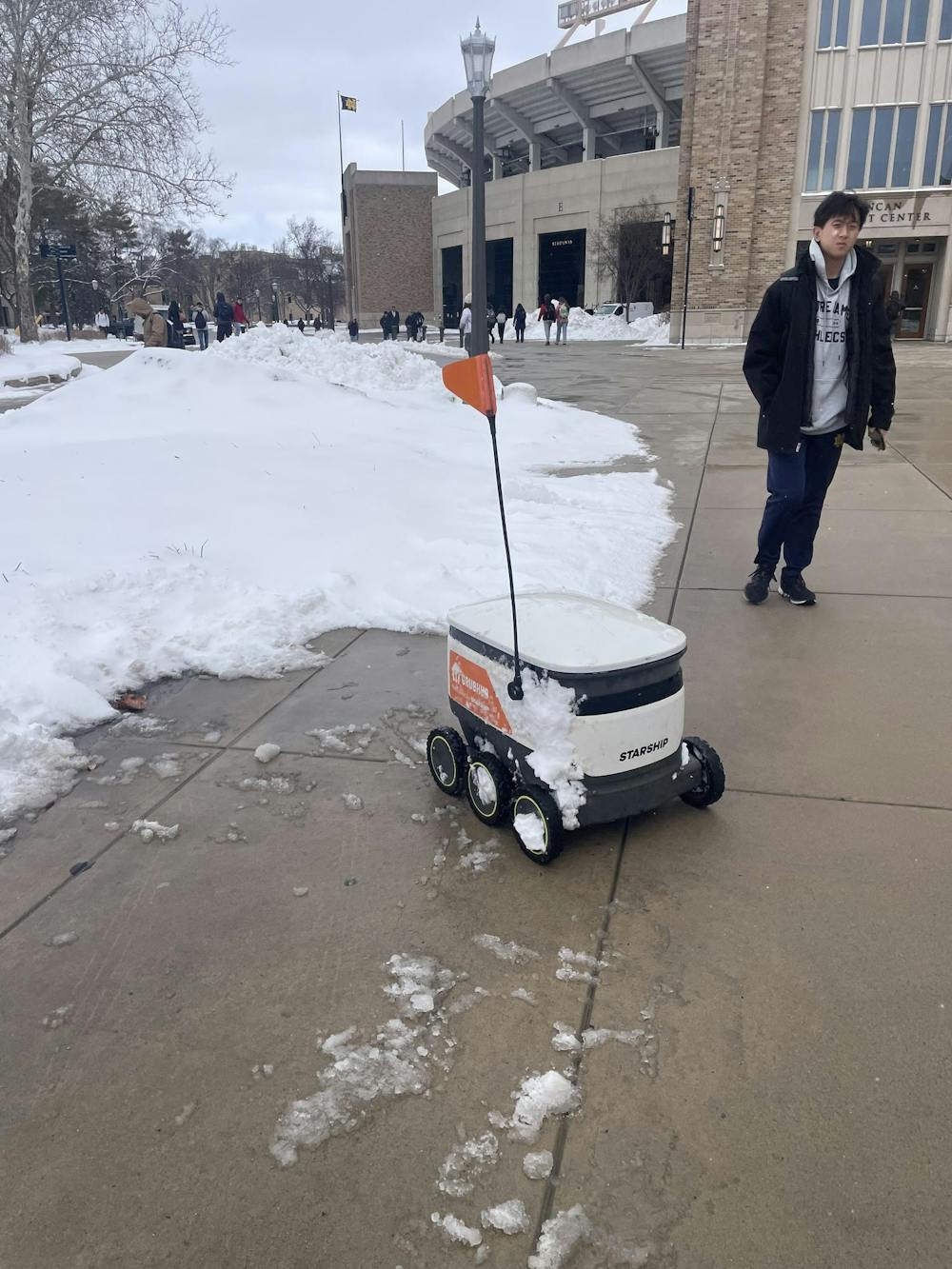 RobotGrayNocjar.jpeg