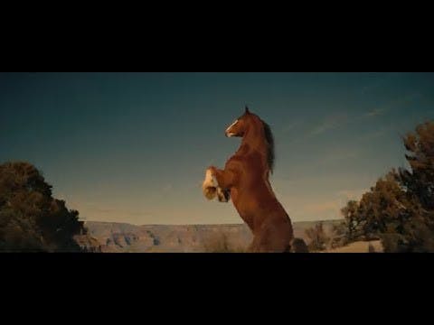 1681948892-cfcd208495d565e