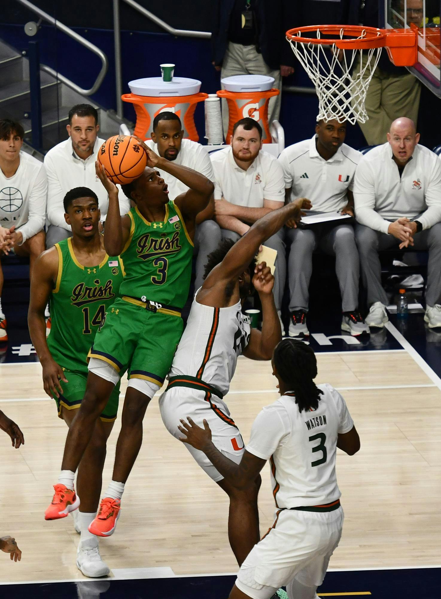 01242024, Greenout, Mens Basketball, Purcell Pavilion, Romina Llanos, UMiami-6.jpg