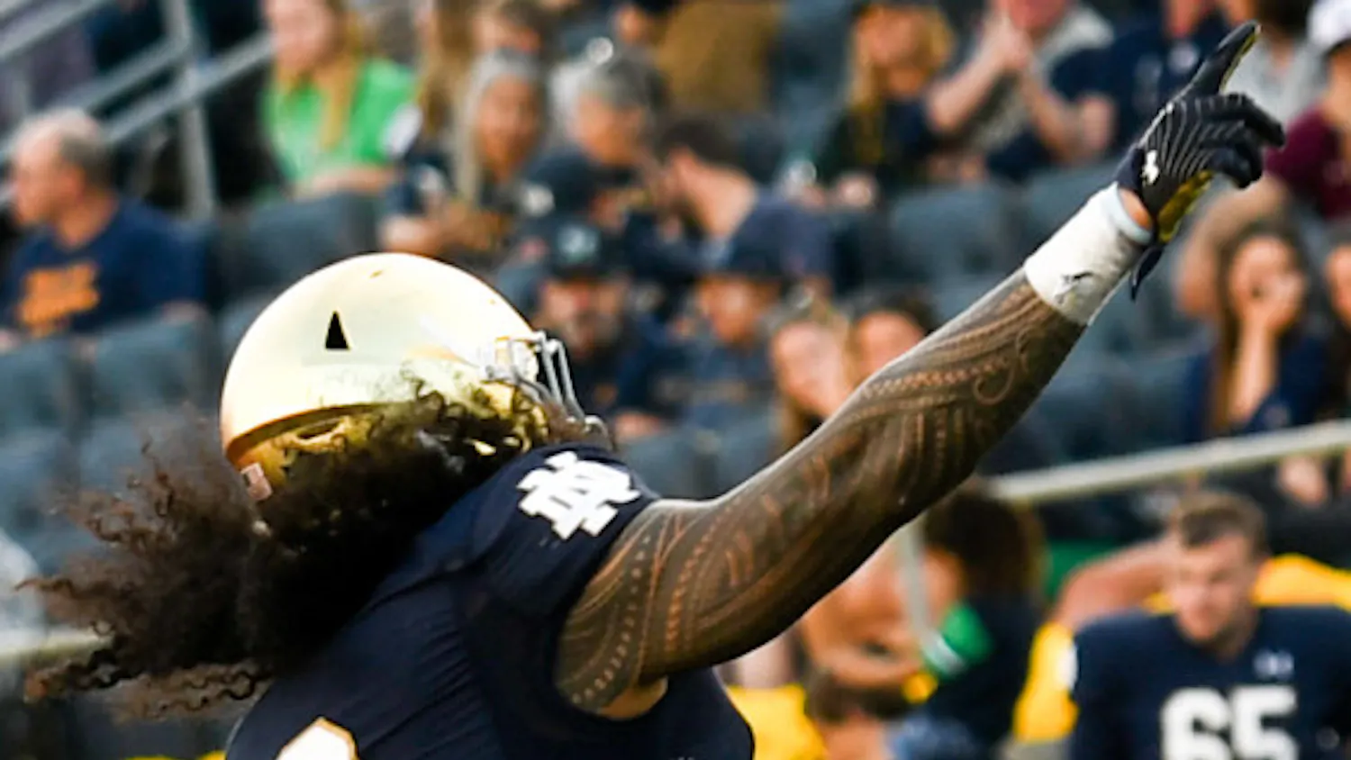 1679405406-92341e7d9a676ef