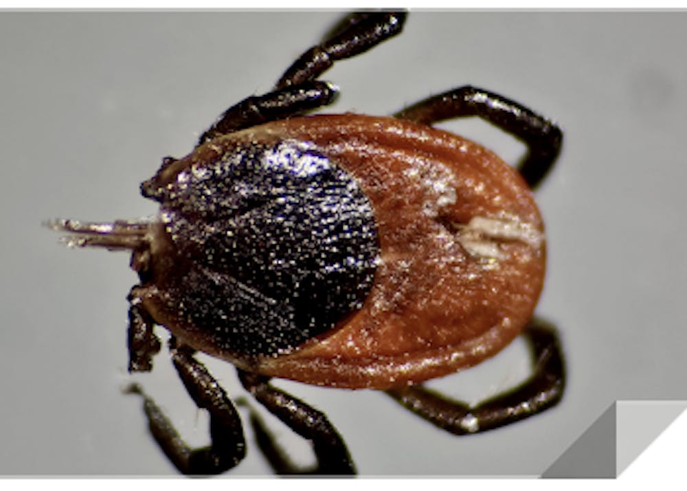 An increasing number of ticks occur throughout St. Joseph County