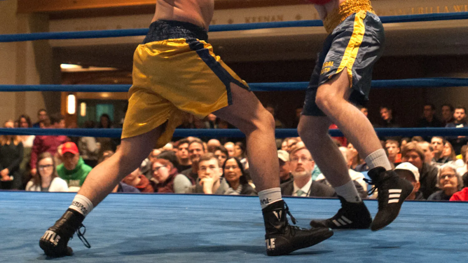 1550114350-11b714a972f9f1f