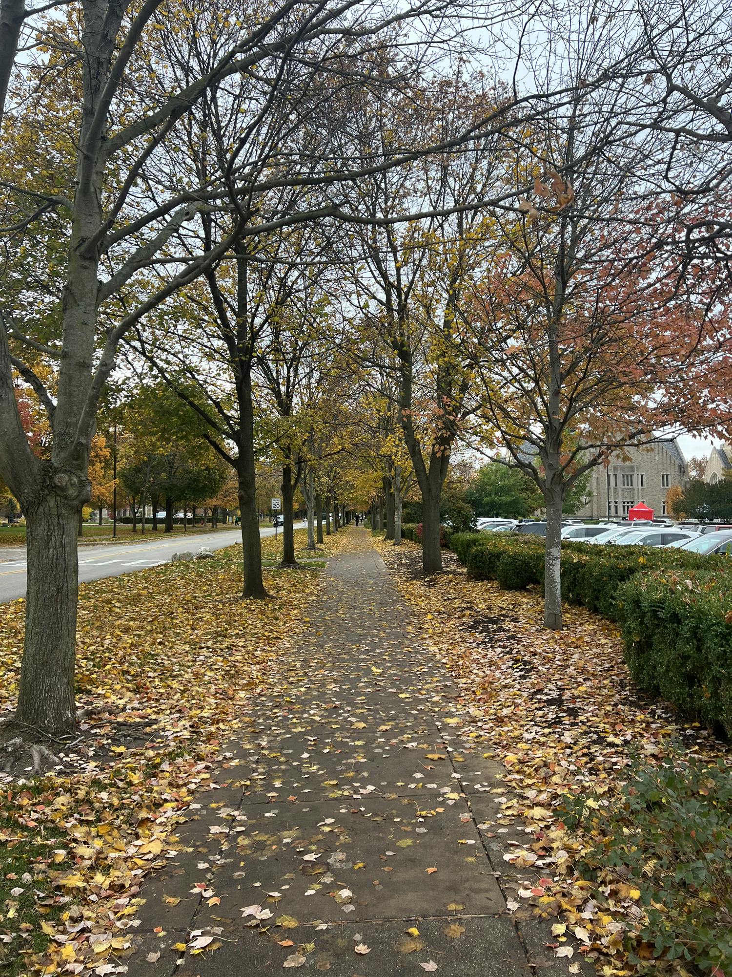 South Bend Photo.HEIC