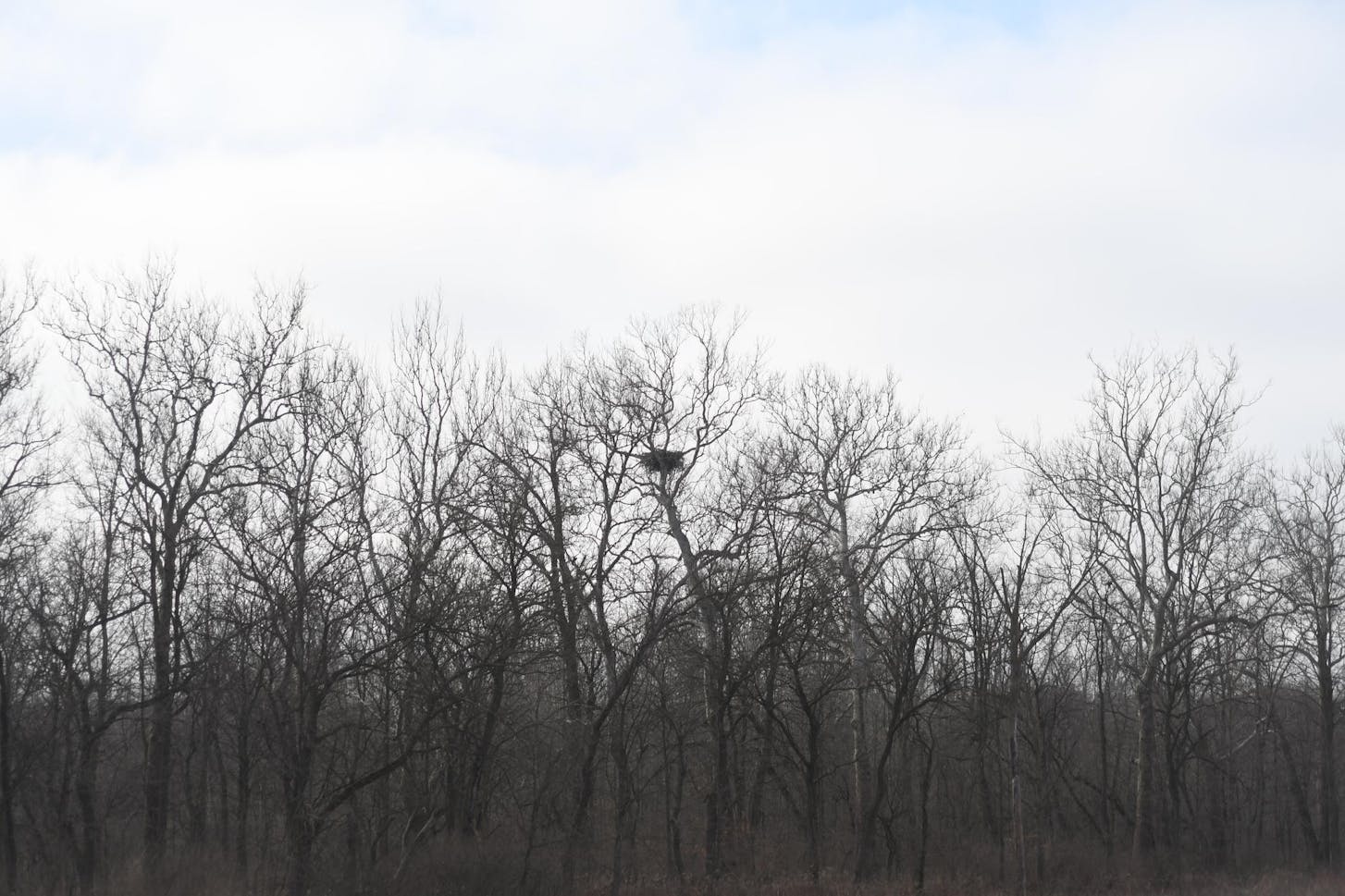 20240206, LEEF, News, Richard Taylor-11.jpg