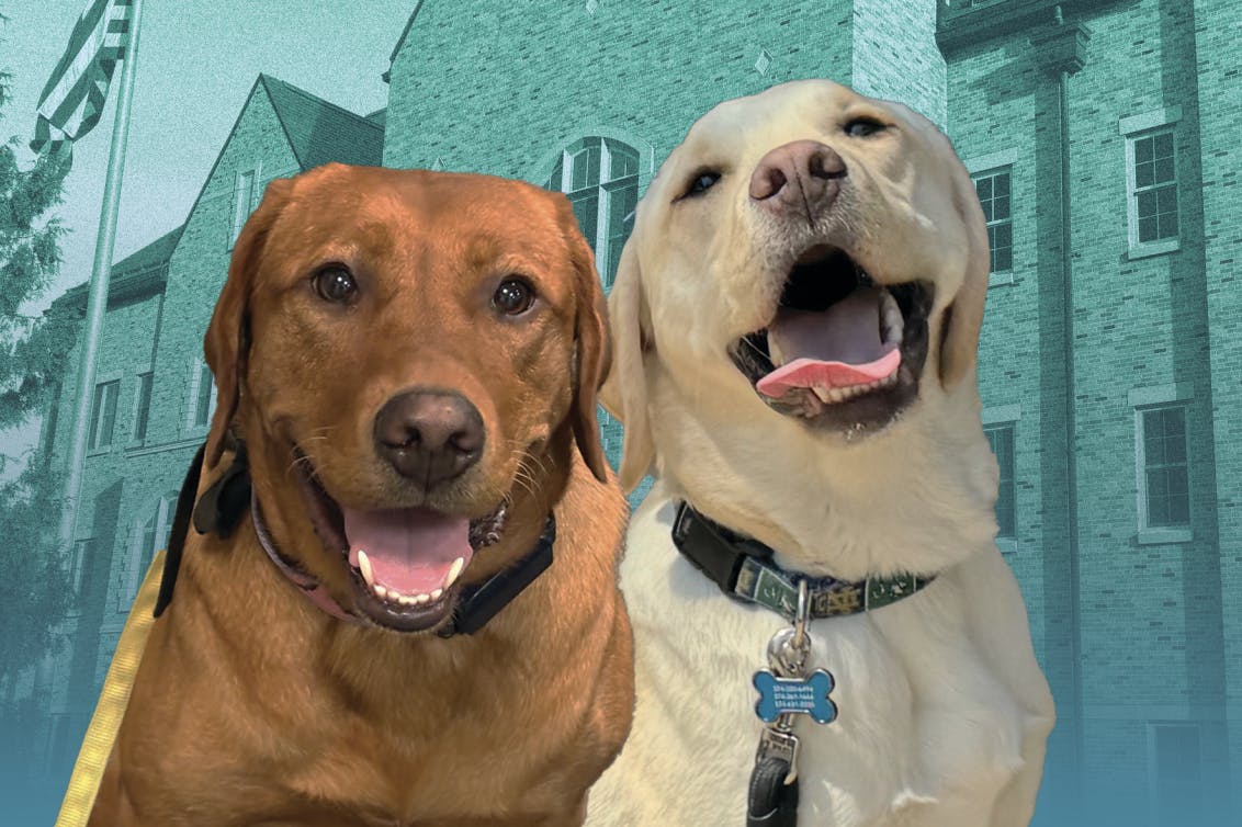 Screenshot 2025-10-02 at 9.19.05 PM.png