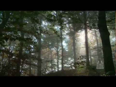 1584921764-cfcd208495d565e