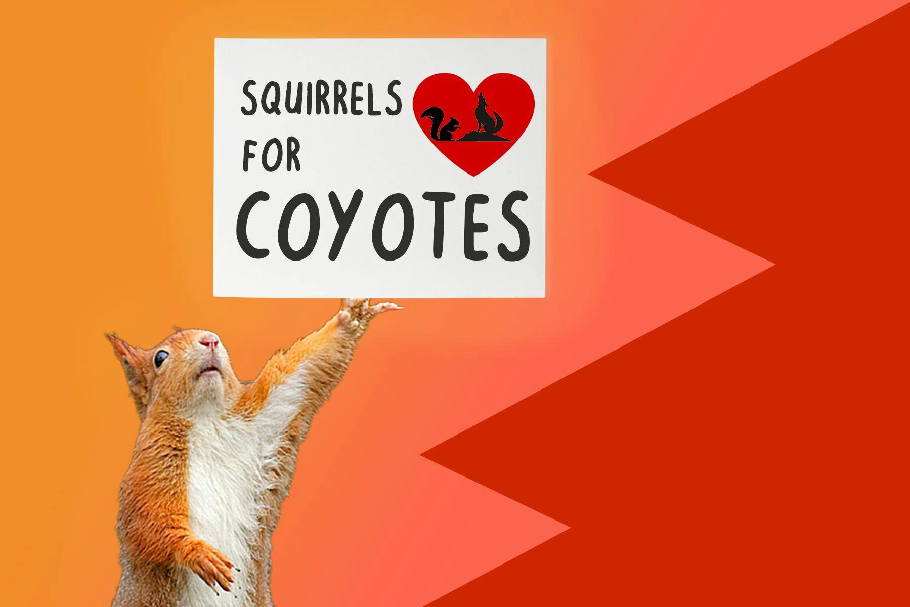flynn_squirrell_webgraphic.jpg