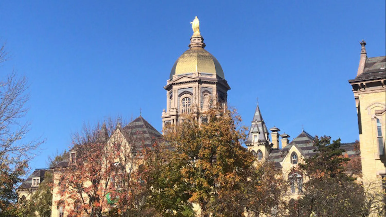 1616459867-a11281937e9cac4-e1617139061164