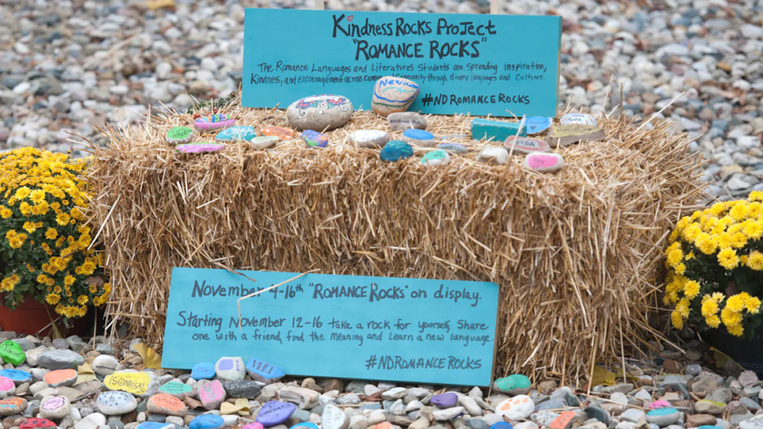 1542071788-15aa16dc20fa54c