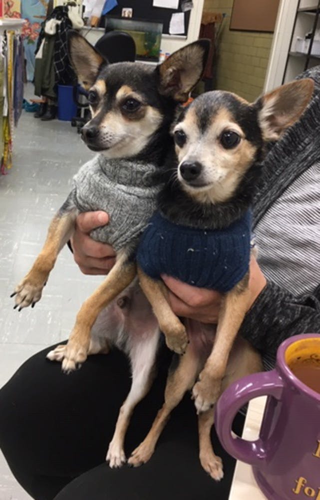 1573779034-99c245db756f0d1