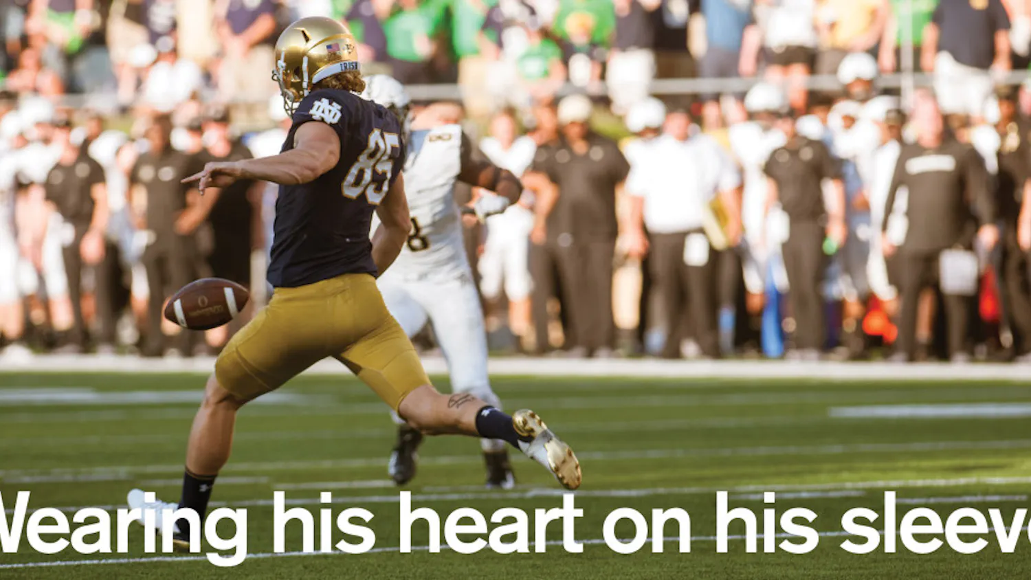 1541735063-67169675e925136