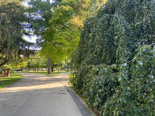 1632790754-6582cd2625b07ca