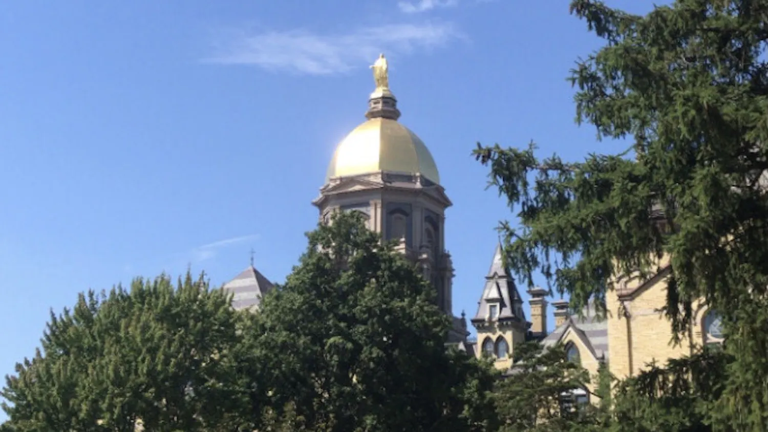 1616459868-1cf8e87a1b1b7d1