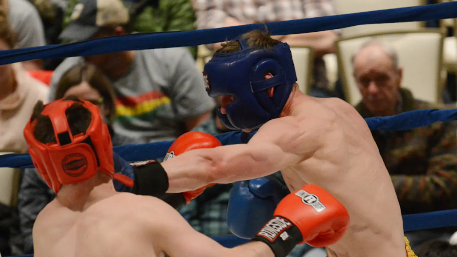 1581542014-da3c97d24ca7f7a