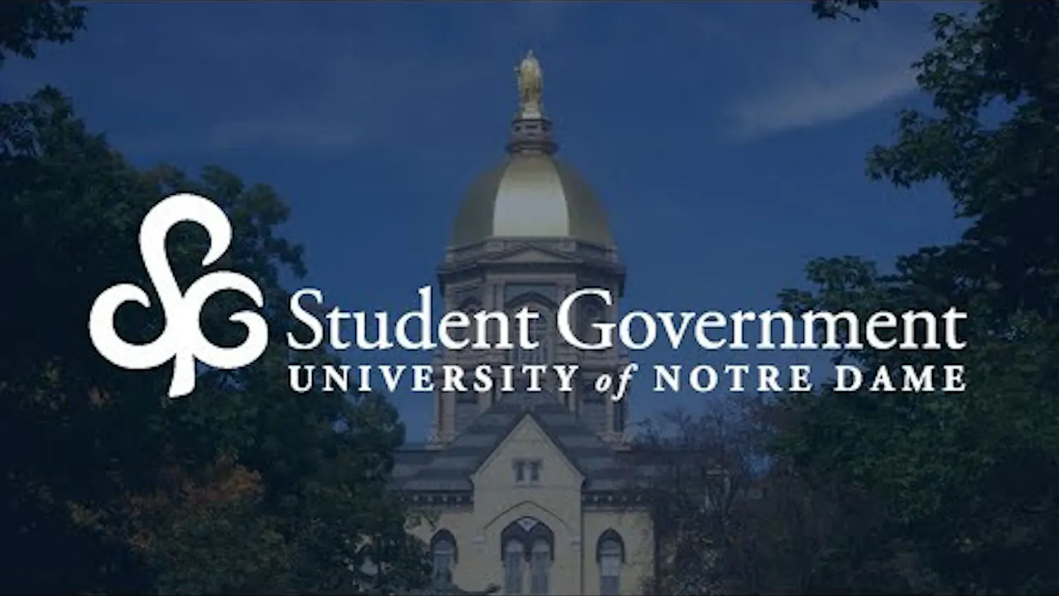 1617157931-cfcd208495d565e