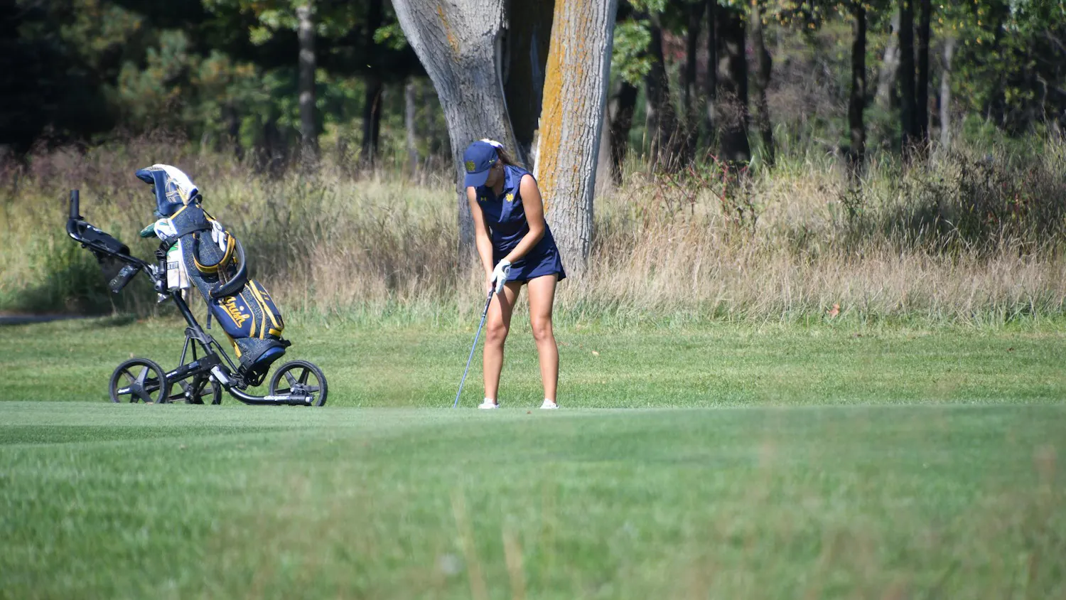 20250928, Mariella Taddonio, Warren Golf Course, Womens Golf.jpg