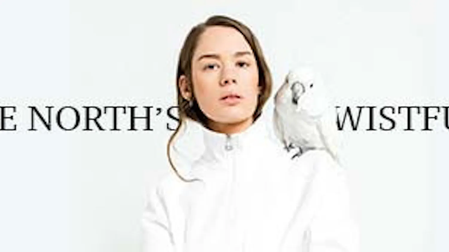 1573598524-15fb79e5c4638c6