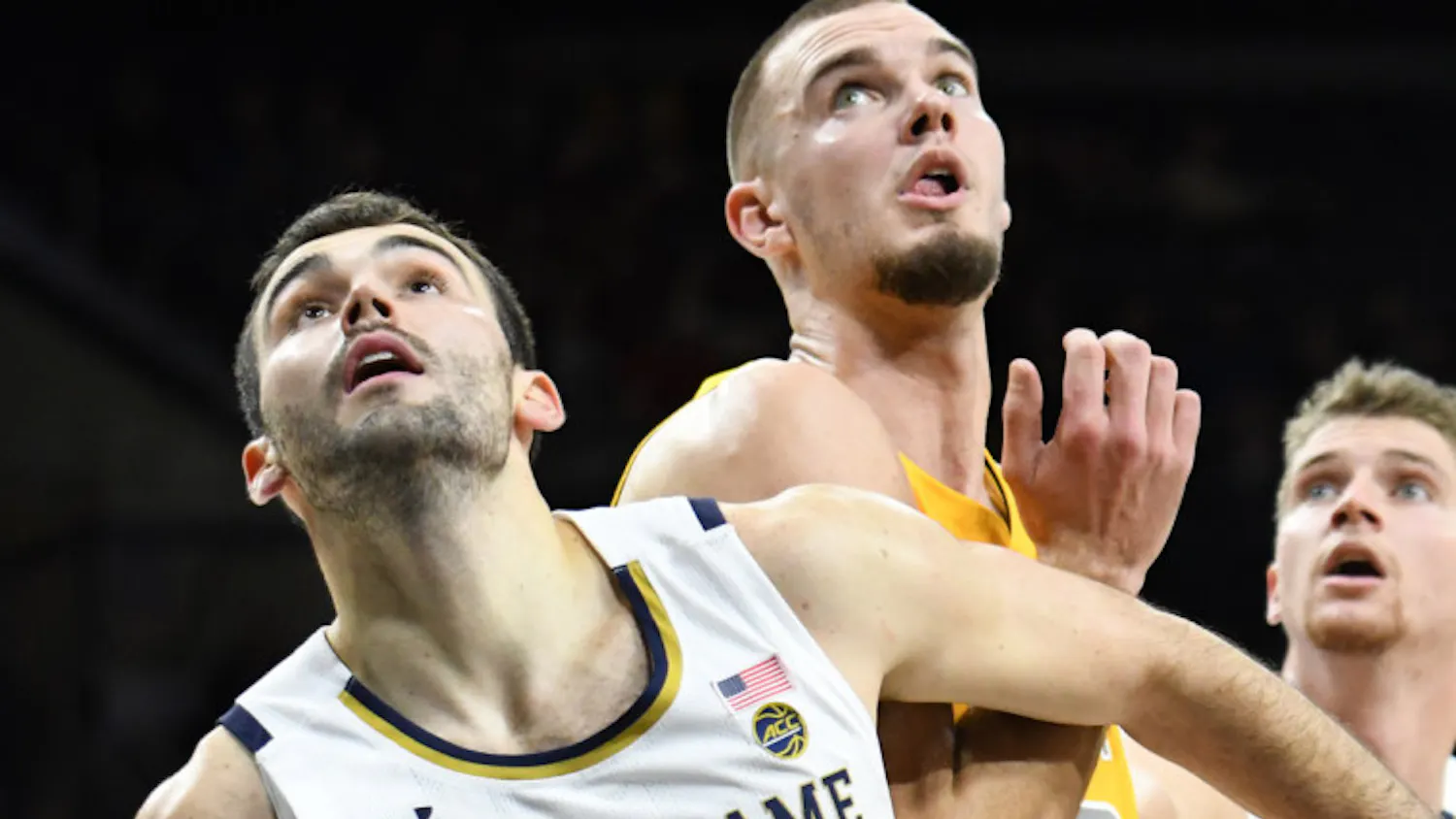 1575500705-a3baf412de4eece