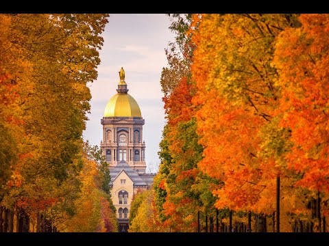 1602788916-cfcd208495d565e