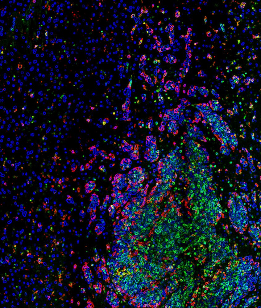 1604513147-4c5436cf1a1de63