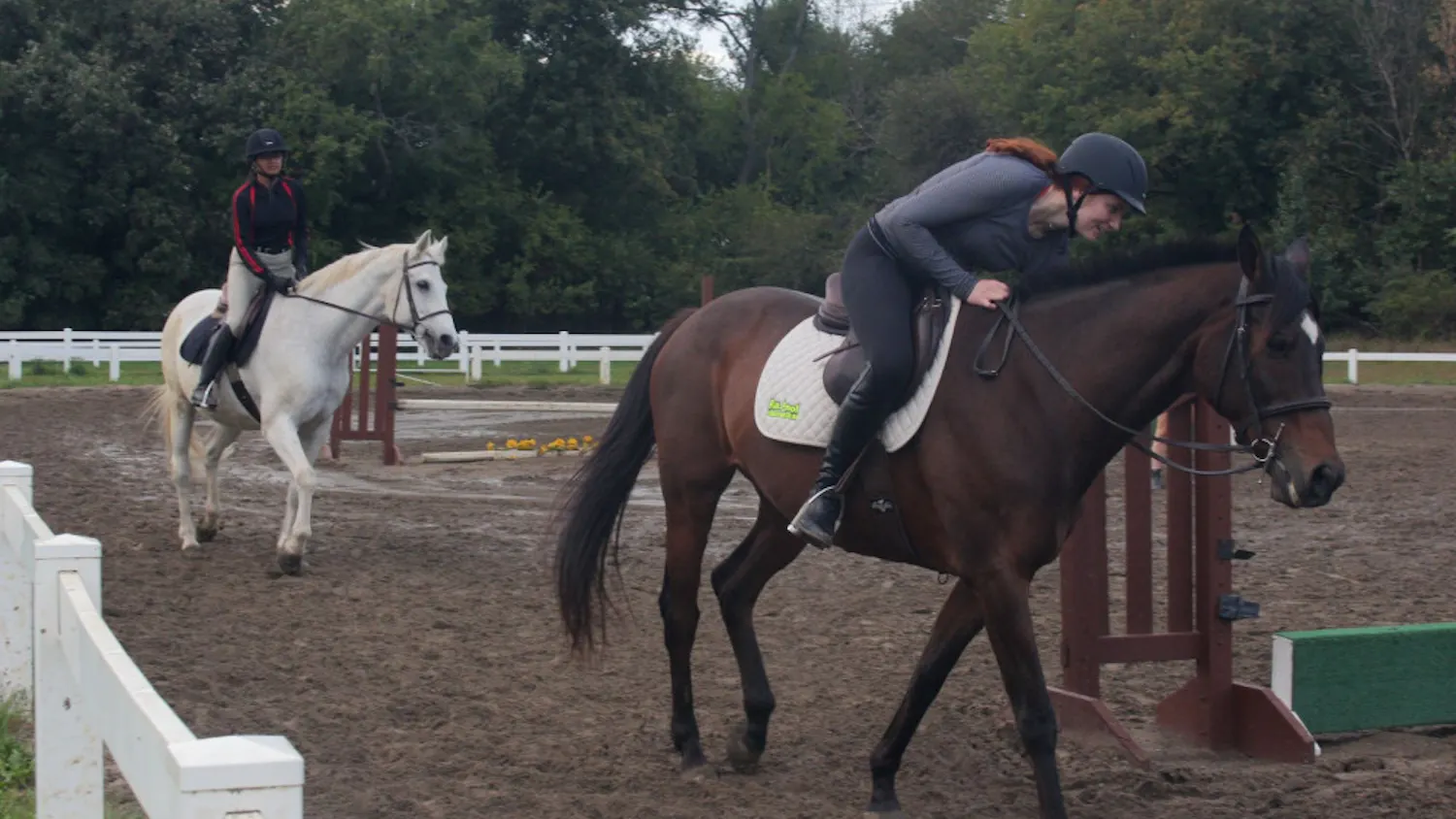 1635351100-e8e66d921314e74