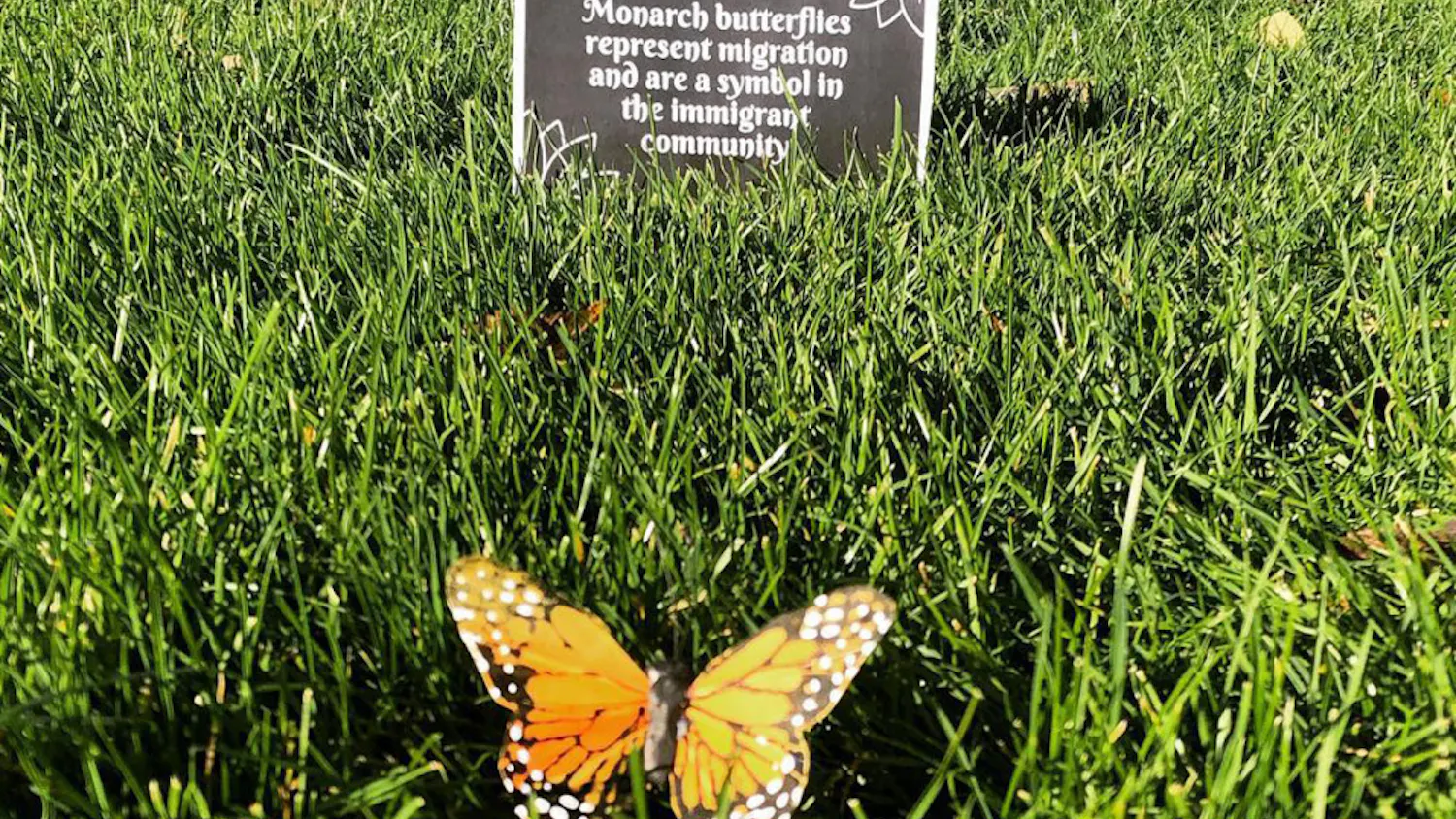 1572817799-811ee8a245ea076