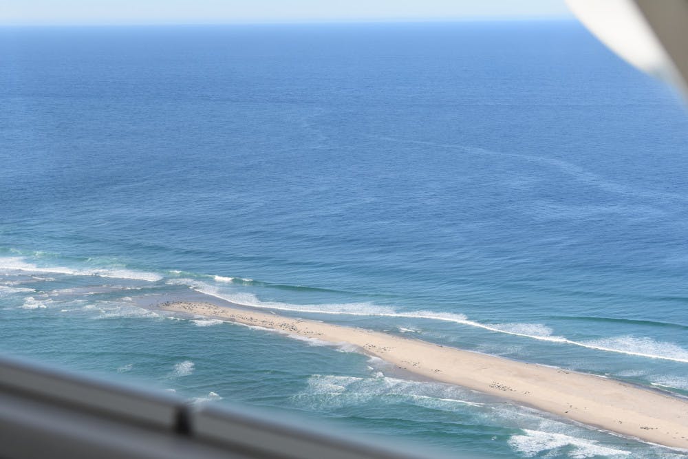 1636040854-07f08d27f4817e0