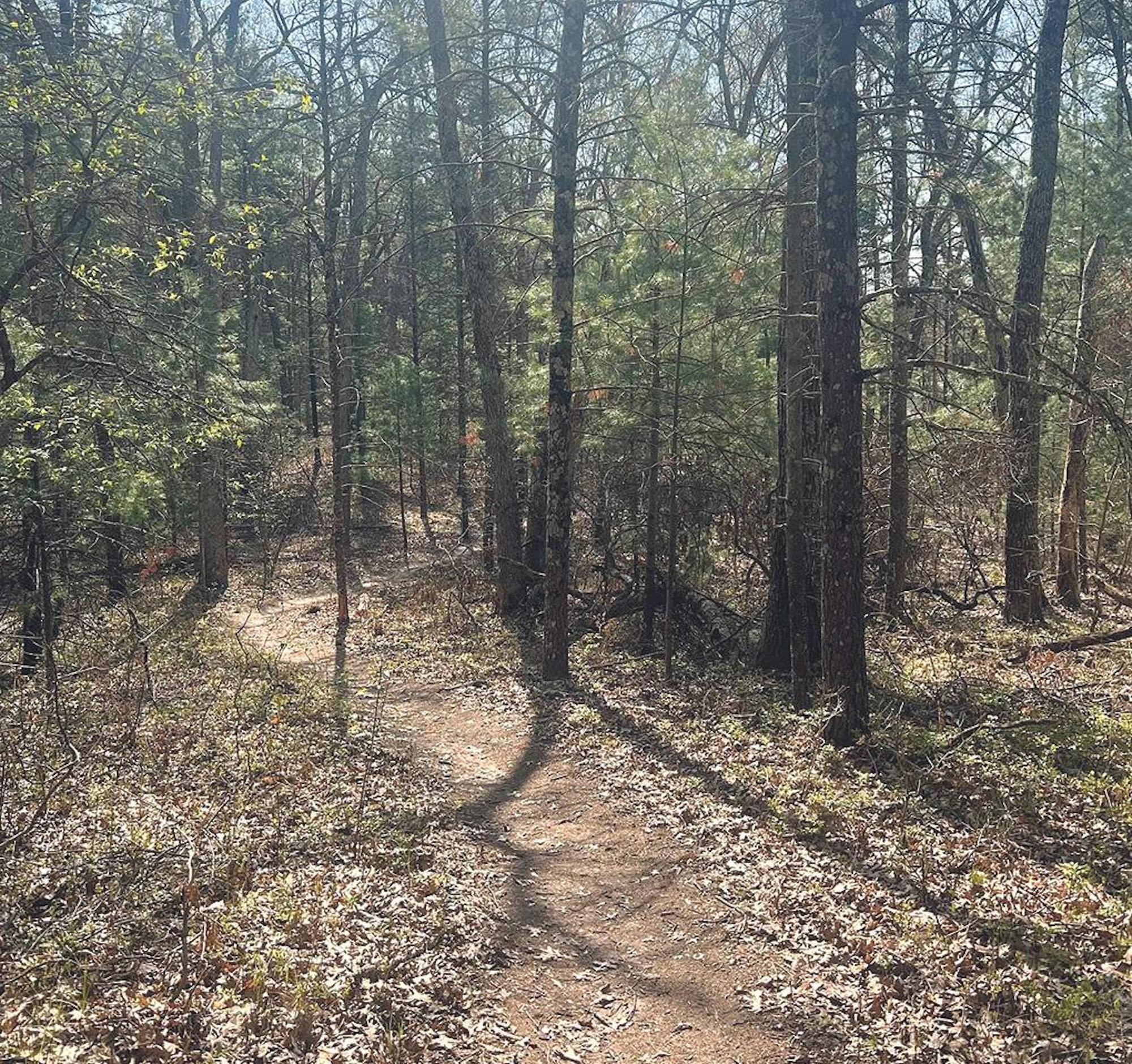 blue lake trails 2.jpg