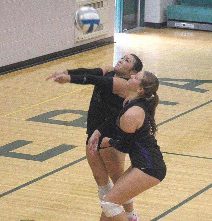 Gallery - Hesperia vs. Pentwater volleyball