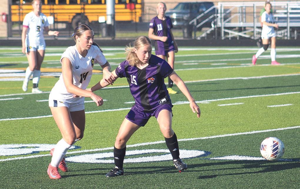 Gallery - Shelby vs. Ovid-Elsie regional soccer