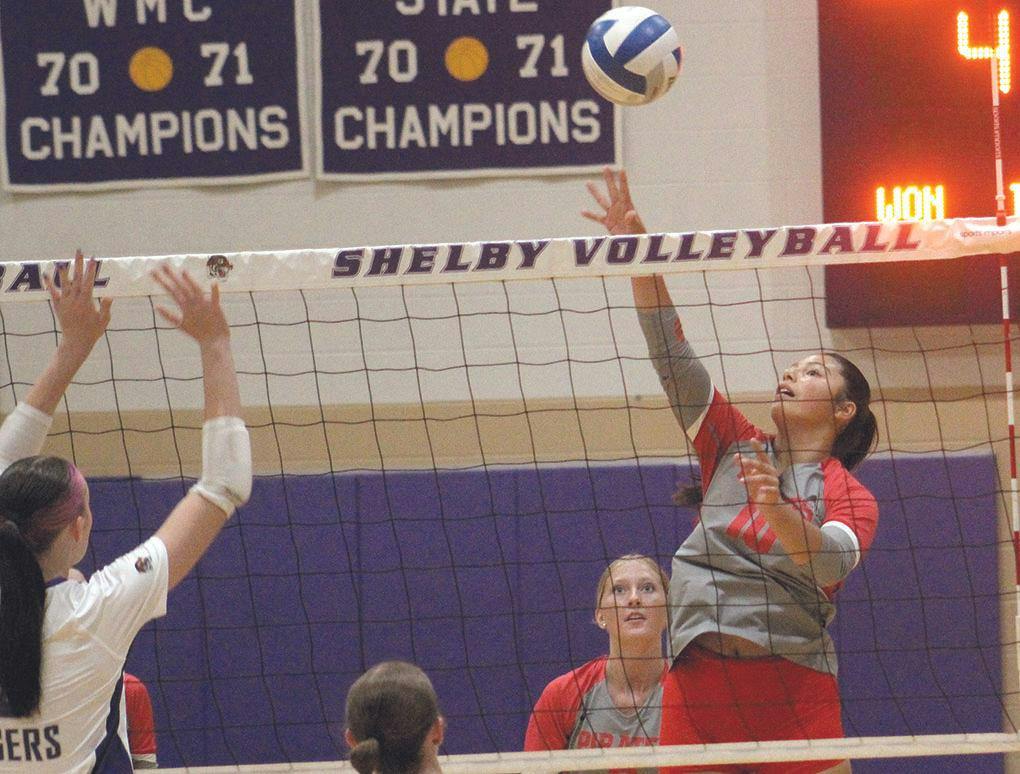 hart-shel vb 5.jpg