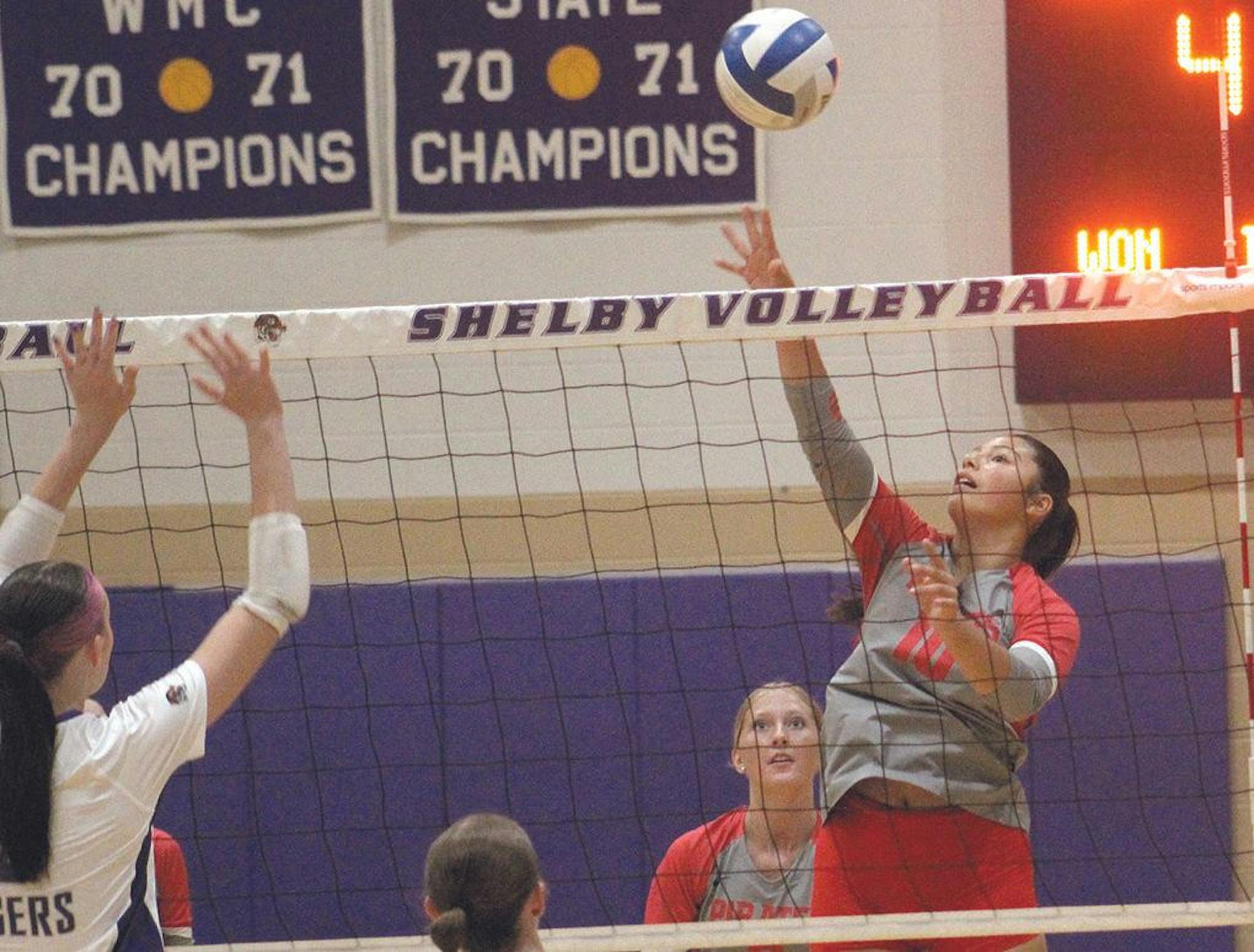 hart-shel vb 5.jpg