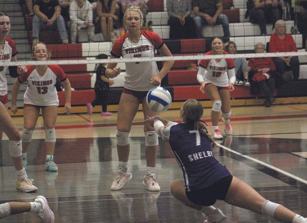 shel vb 2.jpg