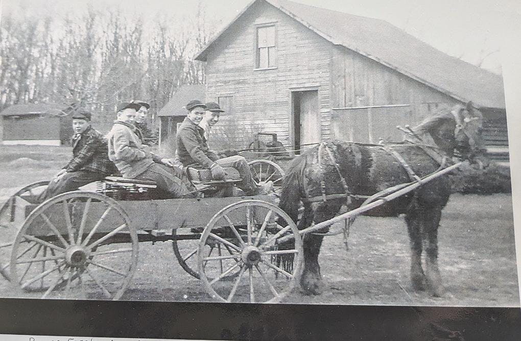 Gallery: Fischer Trees in Rothbury
