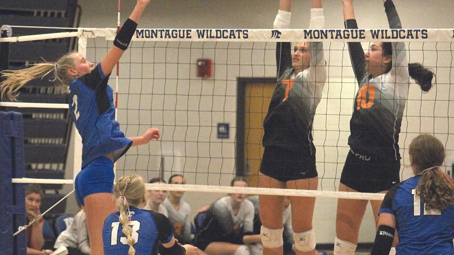 mont vb 4.jpg