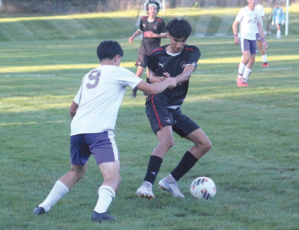 Gallery - Hart vs. Shelby soccer