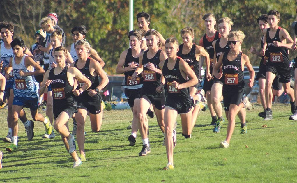 Gallery - WMC Lakes cross-country at Whitehall