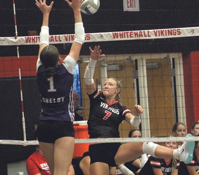 wh-shel vb 9.jpg